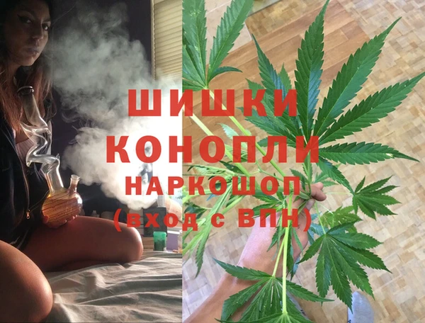 стафф Осинники