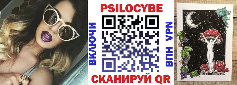 Купить закладки  Вологда  Галлюциногенные грибы Psilocybe 