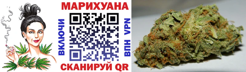Конопля Bruce Banner  Купить где  Вологда 